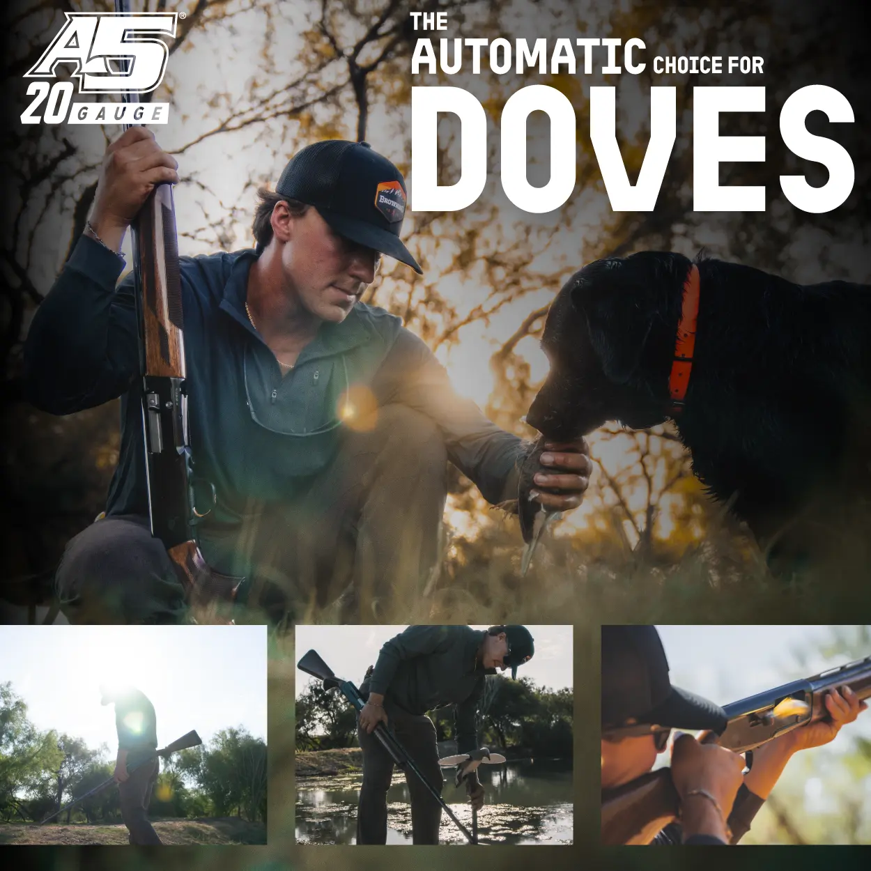 the a5 20 gauge shotgun for dove hunting