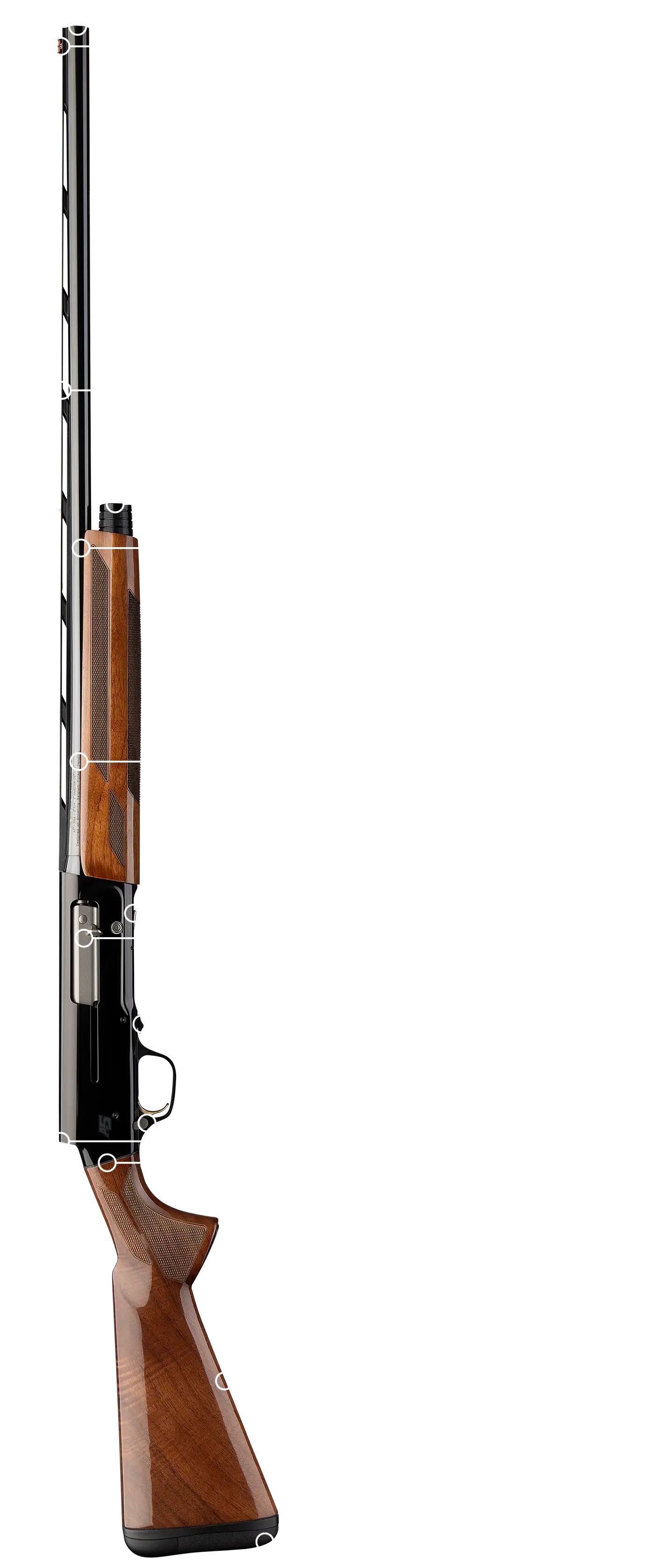 the a5 20 gauge is in stores now and perfect for dove hunts