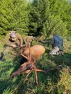 A5 Camo Image
