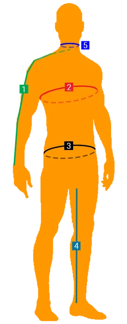 Diagram of measurements for various areas of the body.