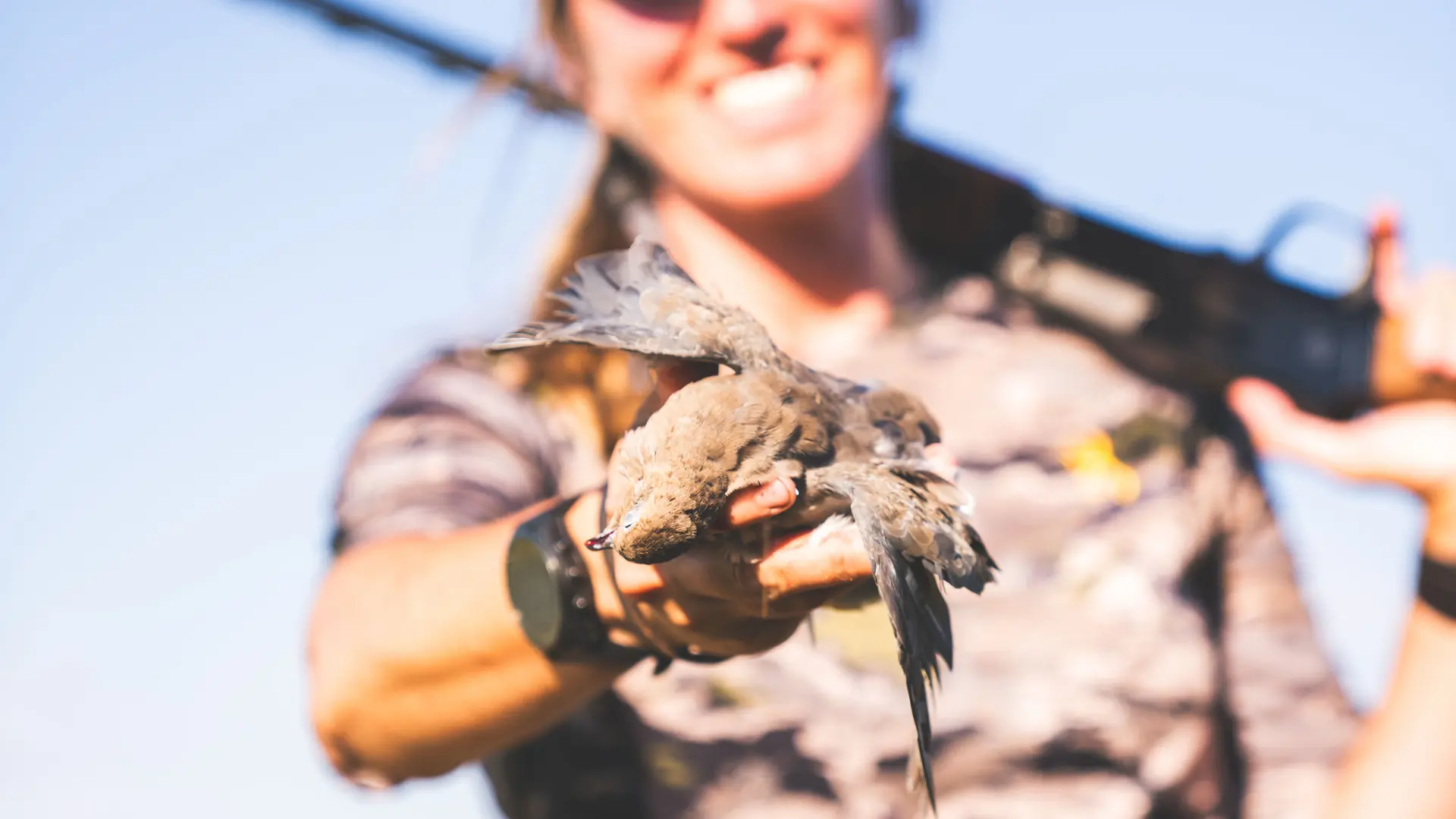 Dove hunter