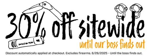 Flash Sale 30% Off