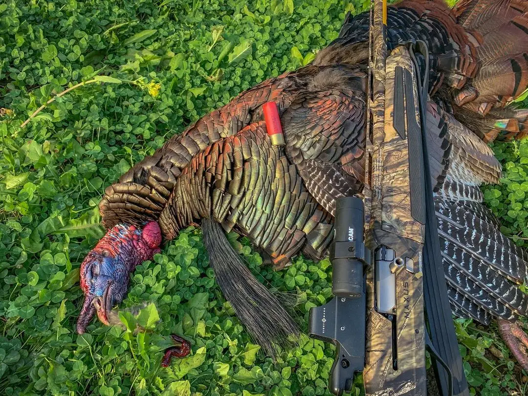 Maxus 2 Turkey