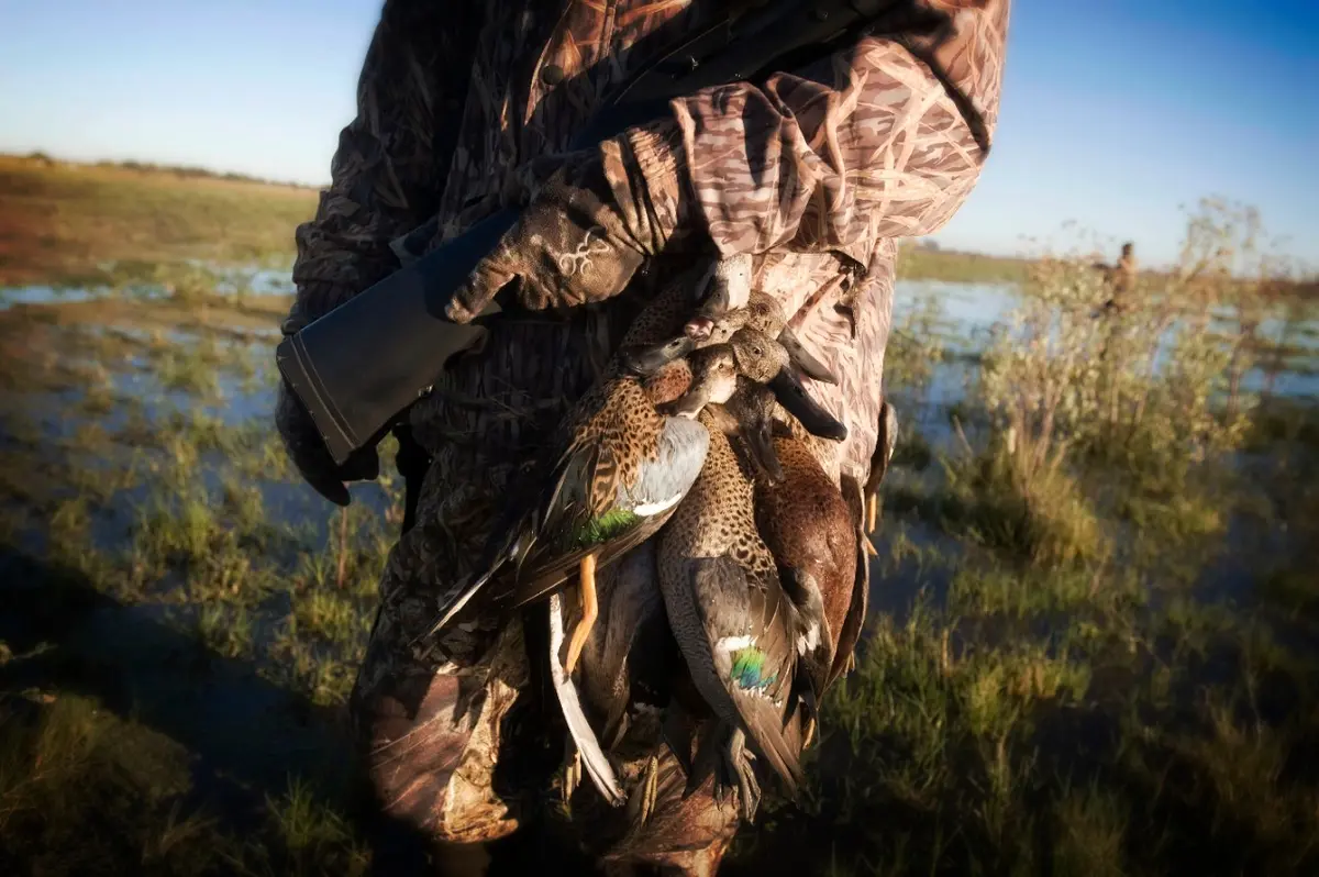 Maxus Shotgun Argetine Ducks