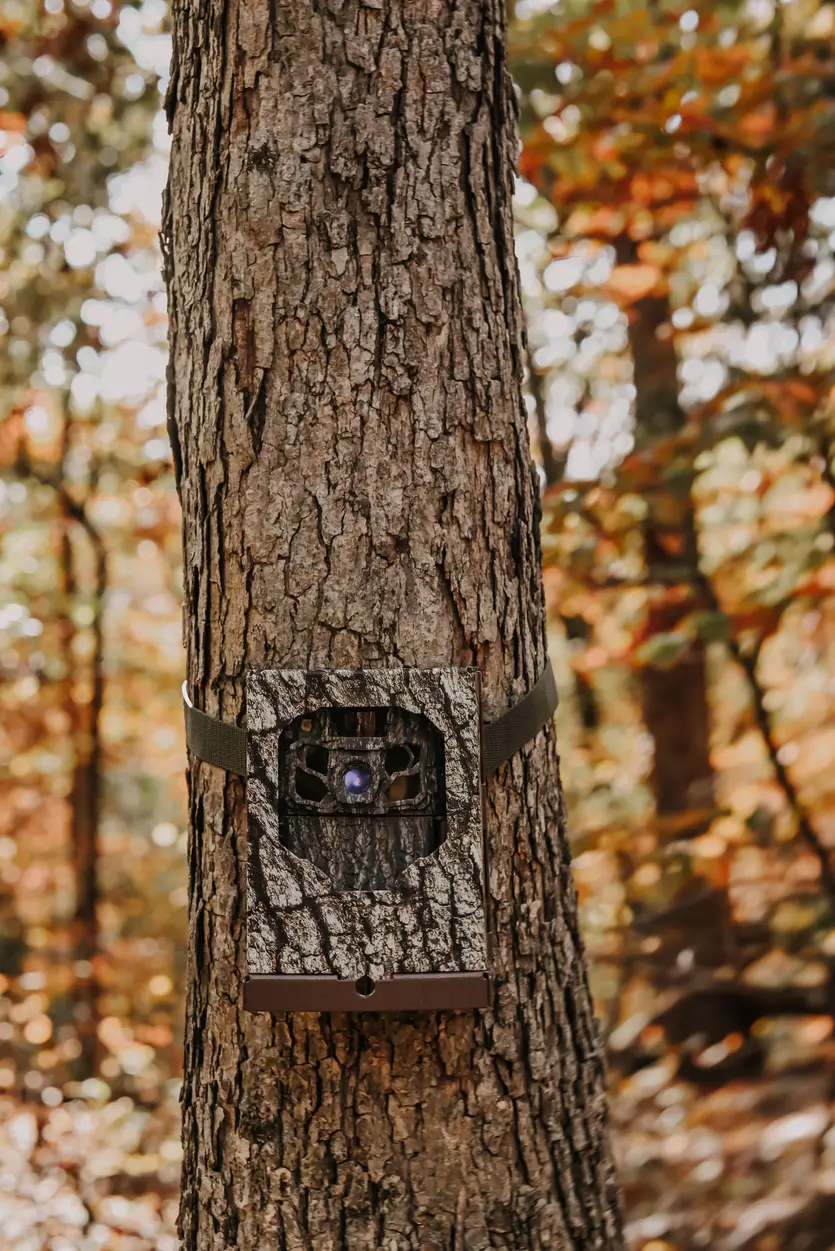 Dark Ops FHDR 40 Trail Camera