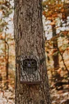 A5 Camo Image