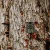 Strike Force FHDR Trail Camera