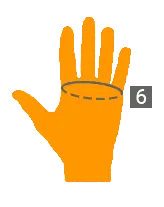 Diagram of measurements of that hand for sizing..