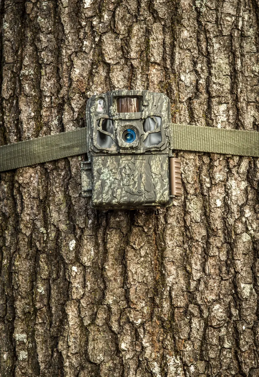 Dark Ops FHDR 40 Trail Camera
