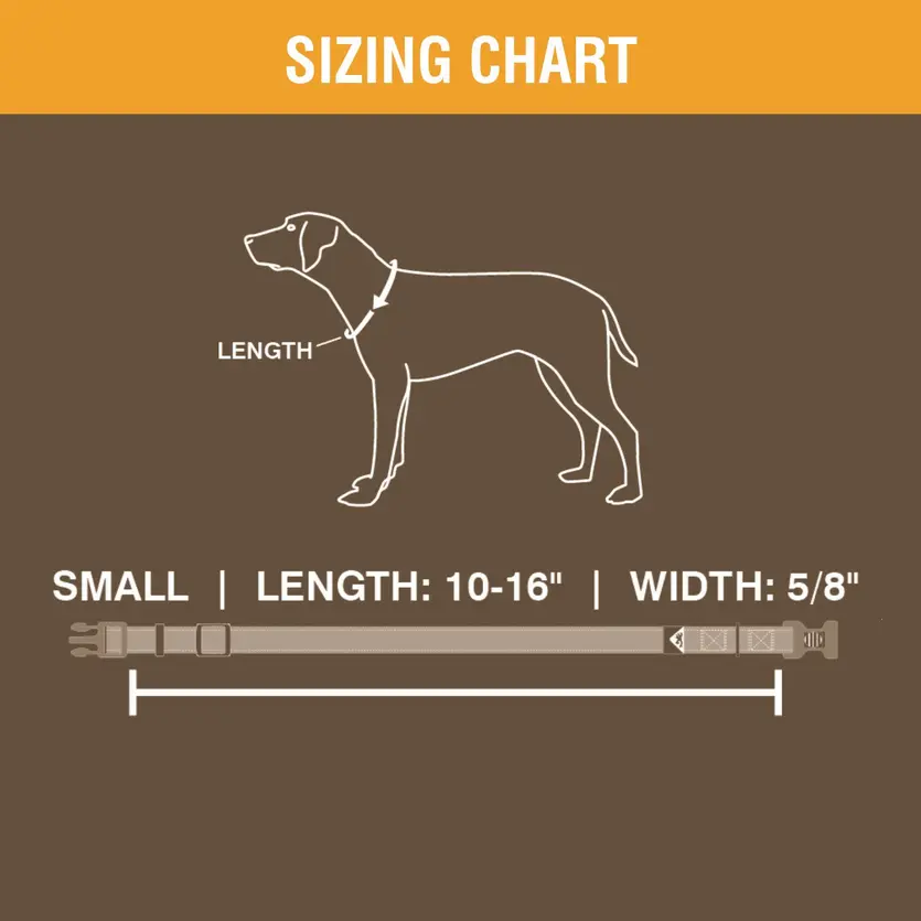 Classic Webbing Camo Dog Collar