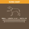 Classic Webbing Camo Dog Collar