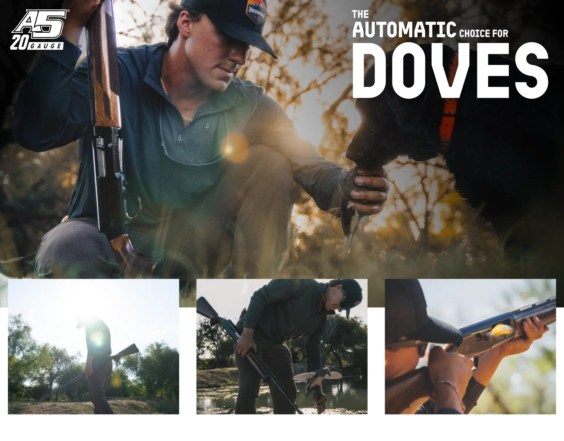 the a5 20 gauge shotgun for dove hunting
