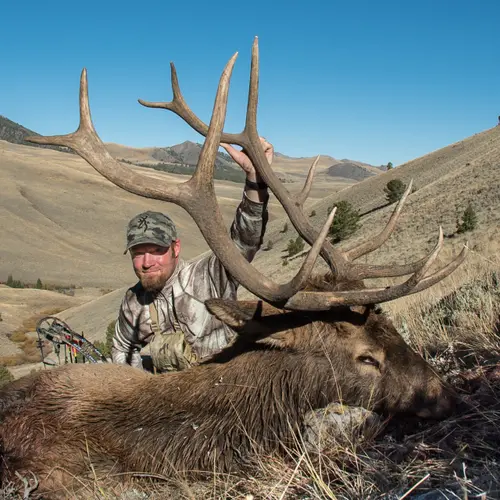 Nate Simmons in Browning hunting clothing with bull elk.