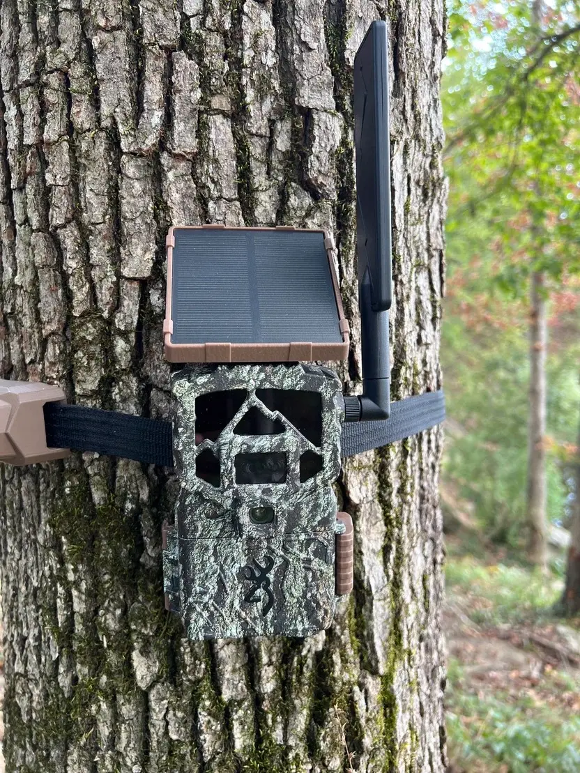Security Tree Strap