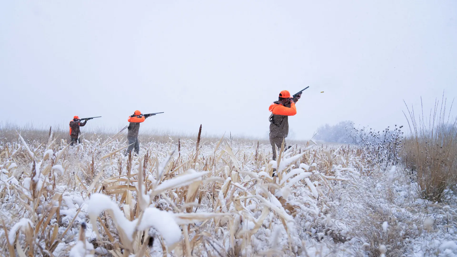 Pheasant Hunters