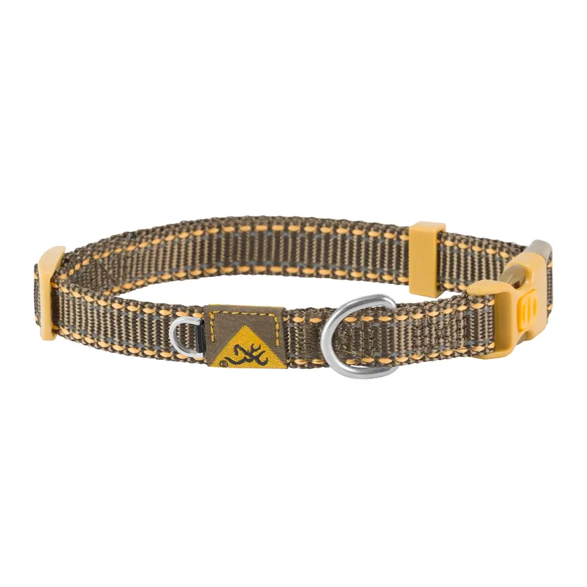 Classic Webbing Dog Collar