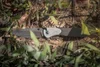 A5 Camo Image