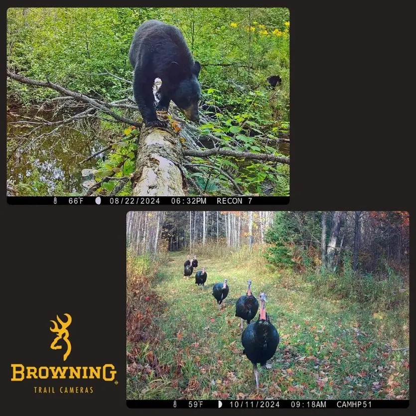 Recon Force Elite HP5 Ultra Trail Camera