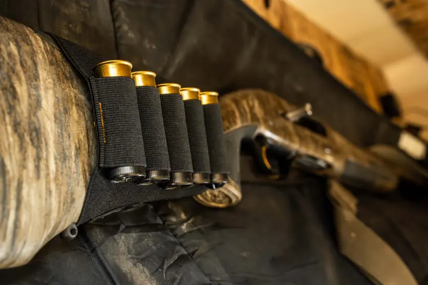 Elastic Stock Option – Shotgun