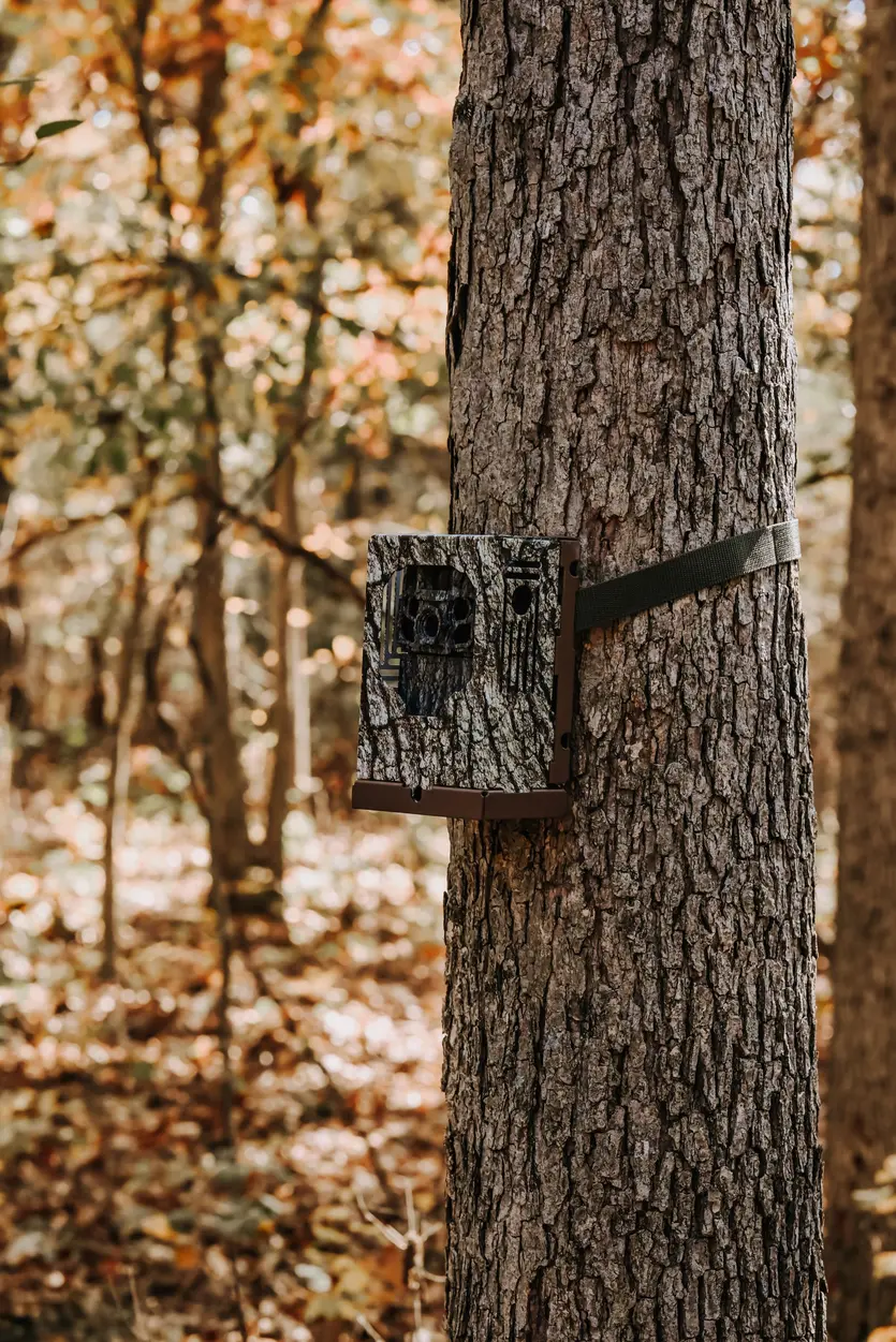 Dark Ops FHDR 40 Trail Camera