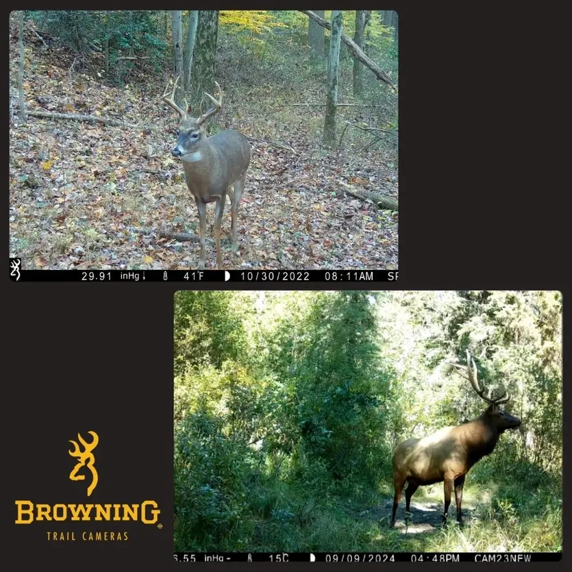 Spec Ops Elite HP5 Ultra Trail Camera