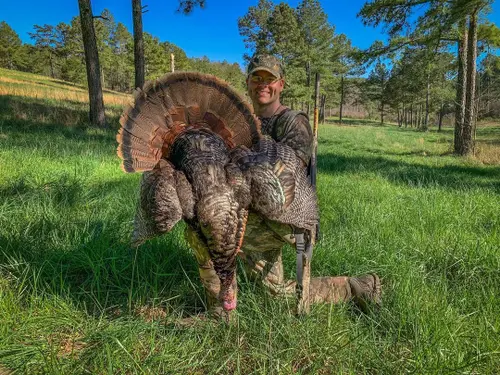 Russel Knight Turkey Hunting Maxus 2 Shotgun