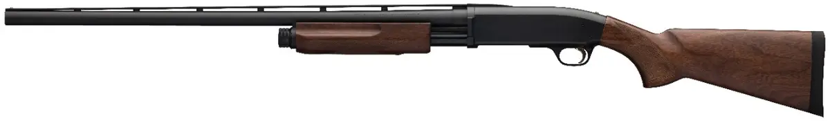 BPS Field - Pre-2020