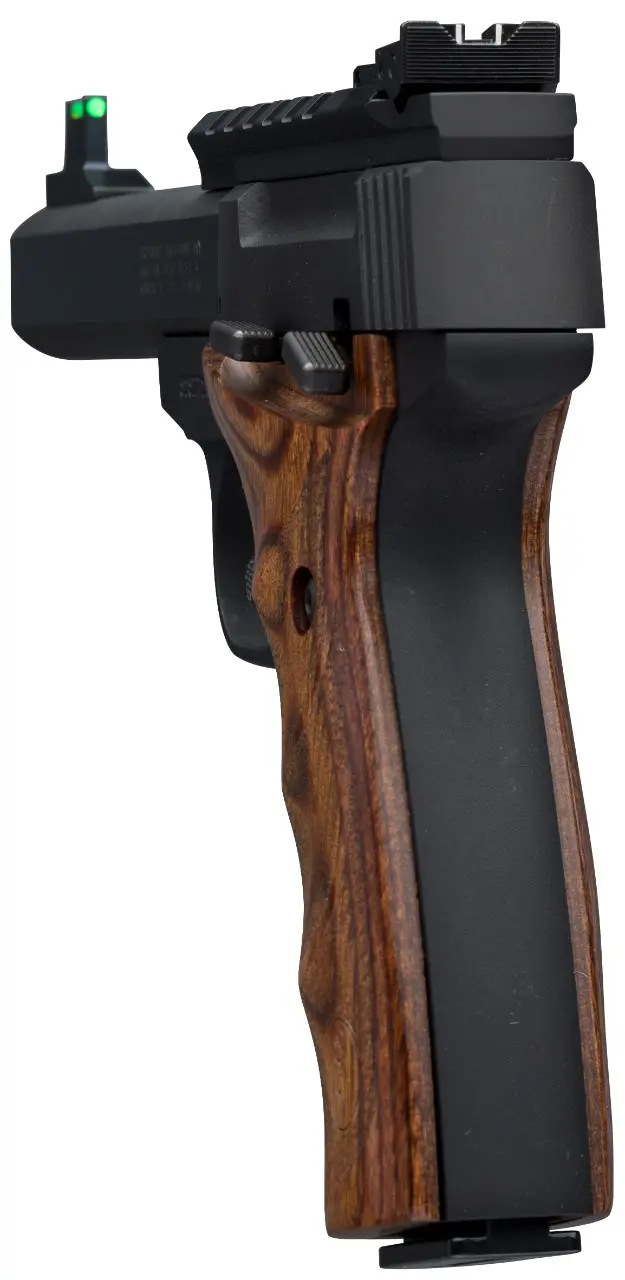 Buck Mark Plus UDX (2)