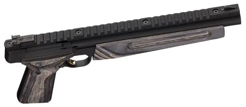 Buck Mark Varmint