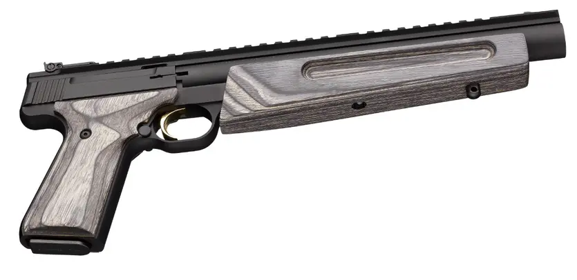 Buck Mark Varmint