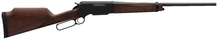 BLR LT Weight Monte Carlo