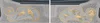 A5 Camo Image