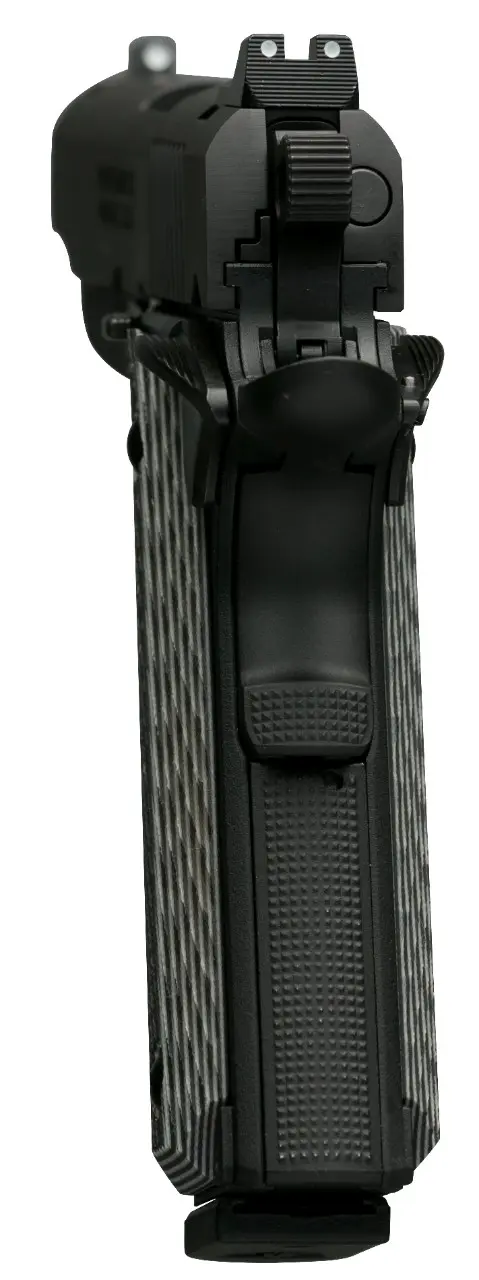 1911-380 Black Label Pro