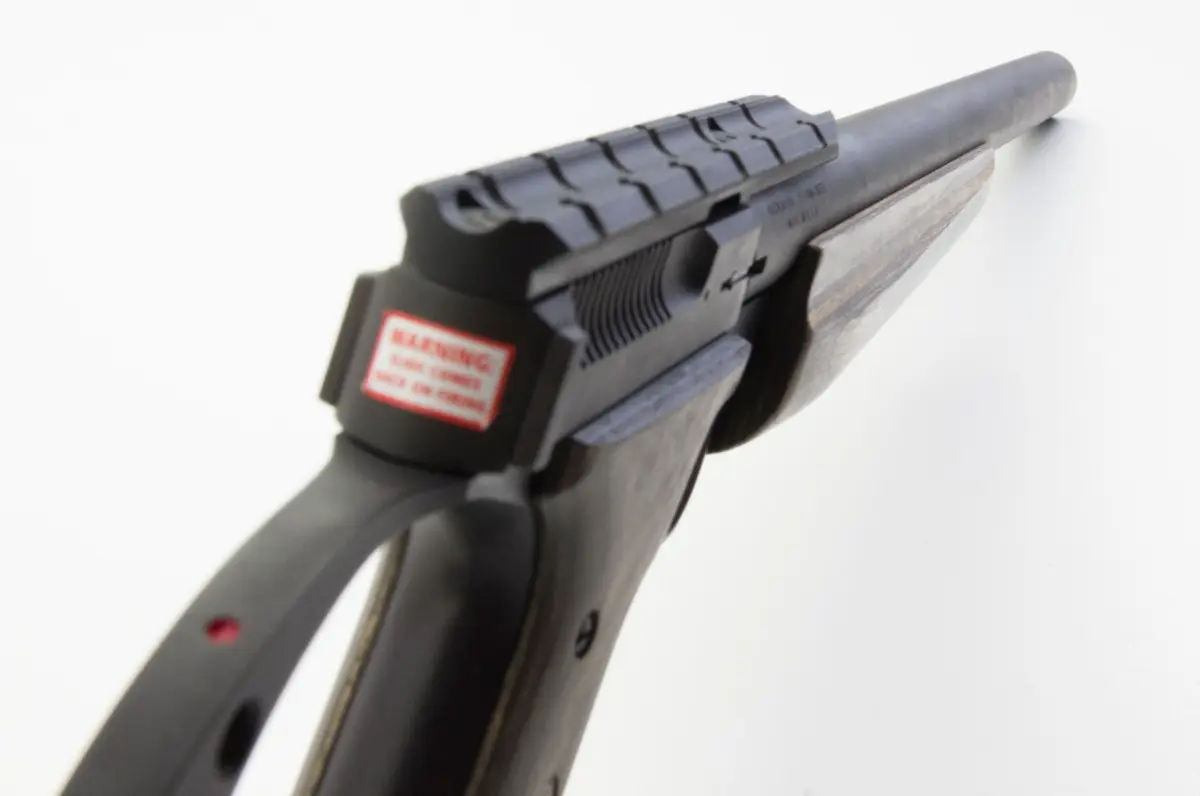 Buck Mark FLD Target Gray Laminate Rifle