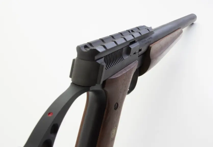 Buck Mark Target Rifle