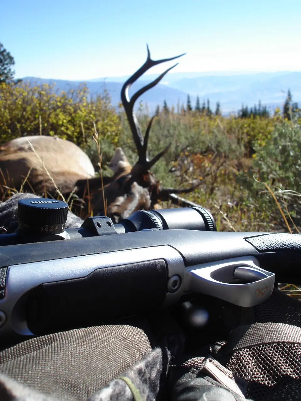 X-Bolt Stainless Stalker - DT