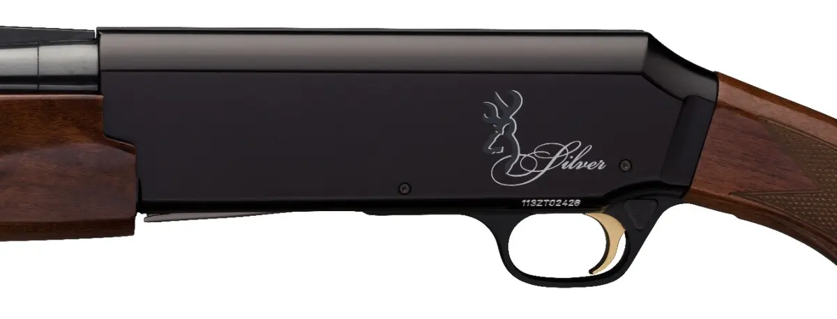 Silver Black Lightning