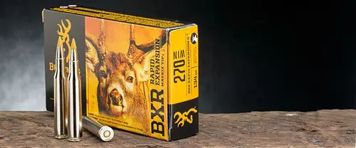 Rifle ammo