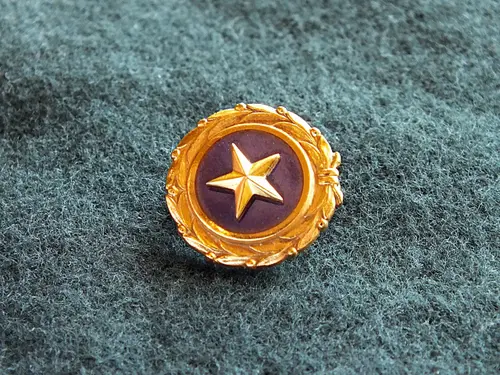Memorial Family Pin