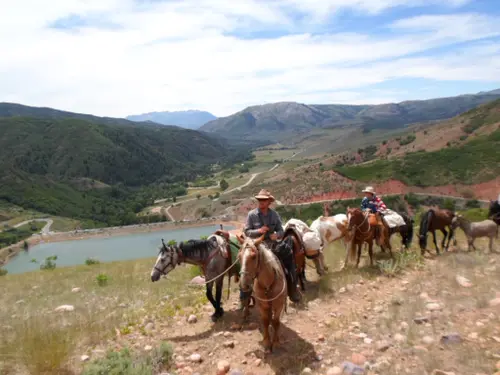 Unbranded Cowboys riding up over the mountains near Browning.