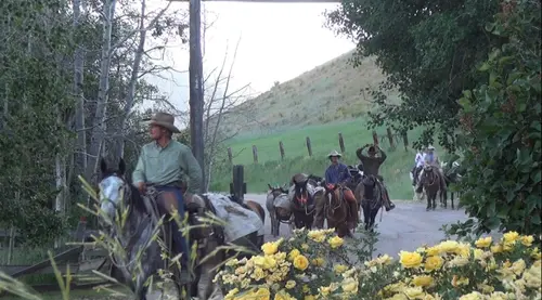 Unbranded riding into Browning property.
