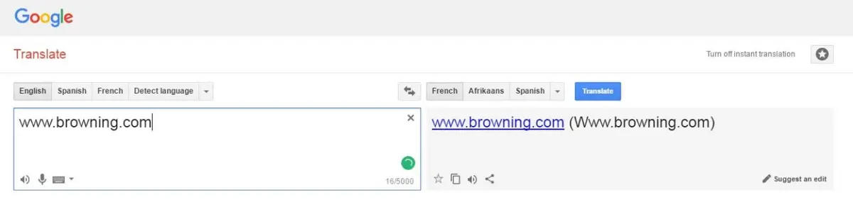 Google Translate Image