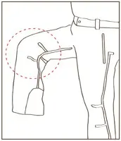 Articulated Knee Image