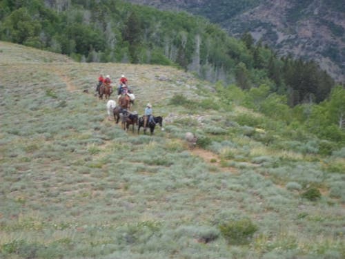 Unbranded Cowboys riding along the mountains near Browning.