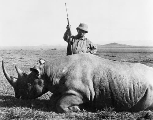 Theodore Roosevelt with a Rhino in Africa. 