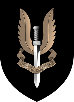 SAS Emblem