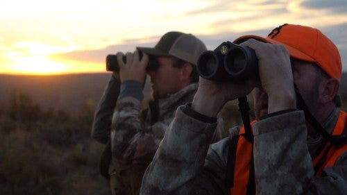 Hunters glassing for mule deer