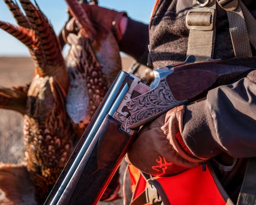 browning citori with pheasants
