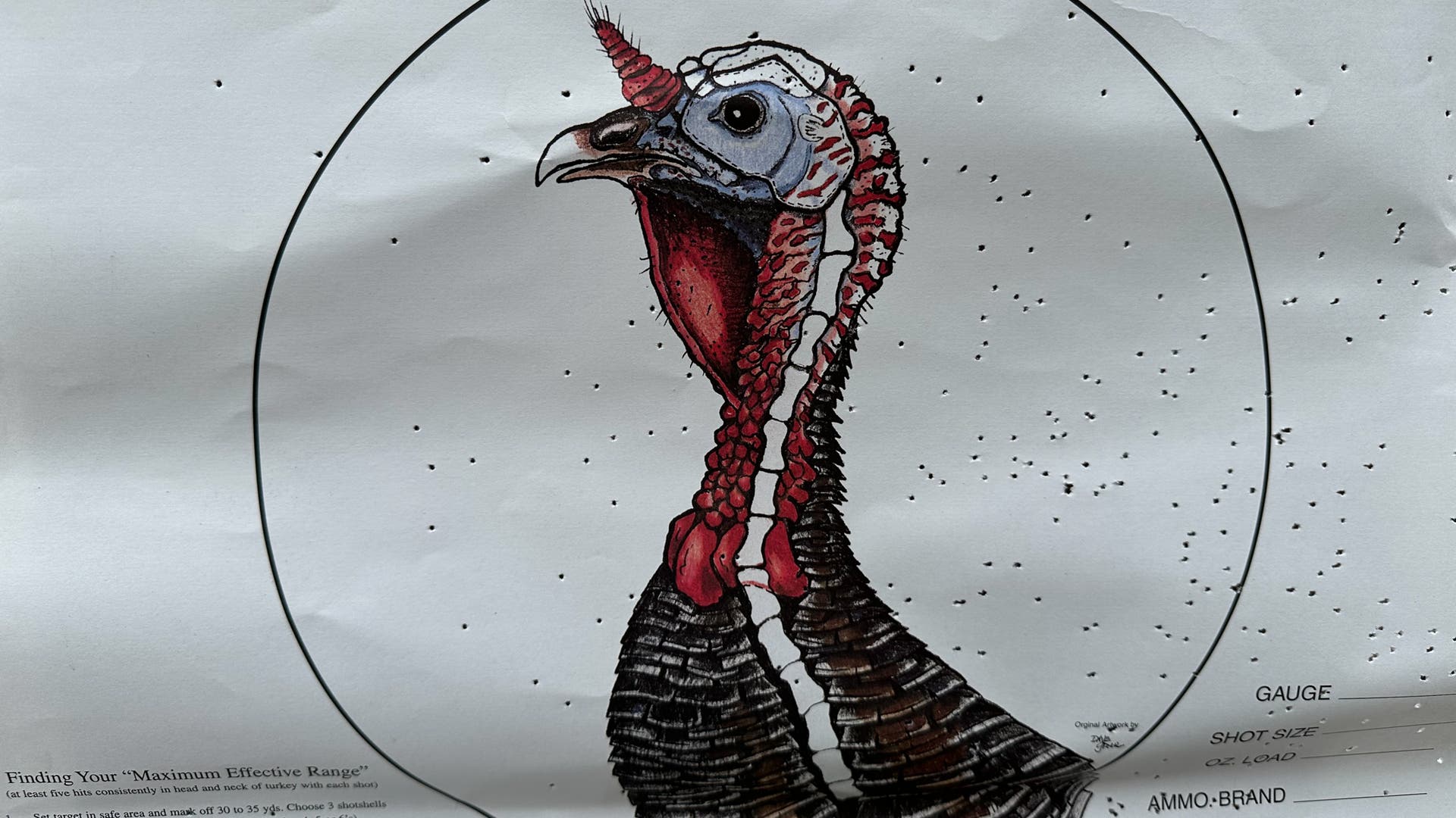 Turkey practice target