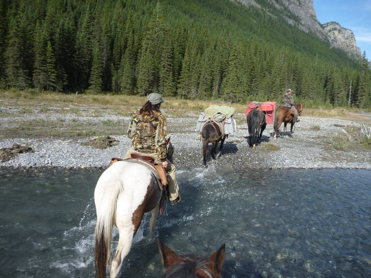 Julie Kreuter on horse in river